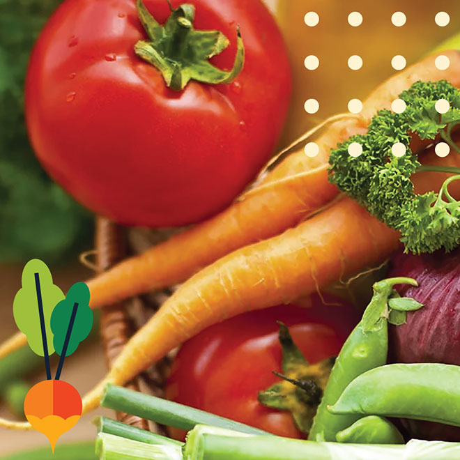 Wayfind - How the Food is Medicine Approach Can Transform Healthcare