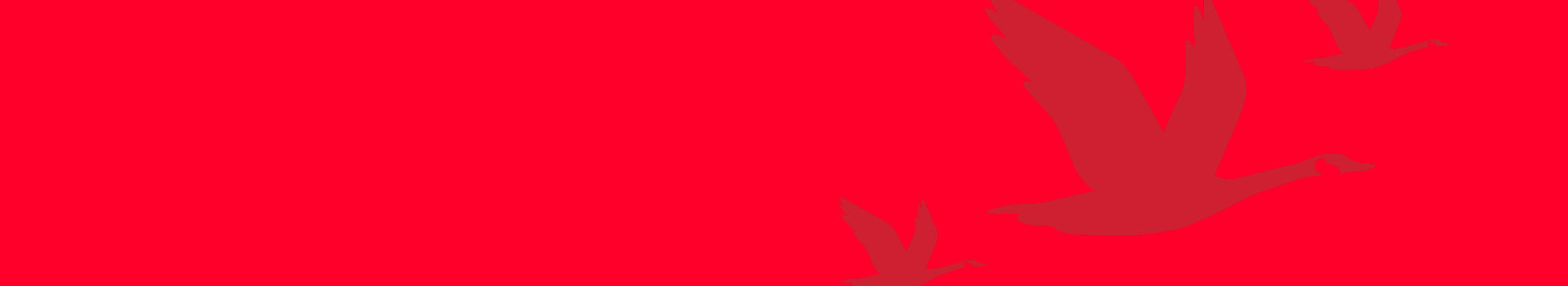 Wawa
